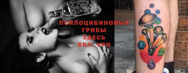 ГАЛЛЮЦИНОГЕННЫЕ ГРИБЫ Навашино