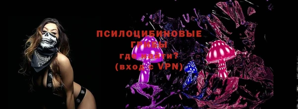 ГАЛЛЮЦИНОГЕННЫЕ ГРИБЫ Навашино