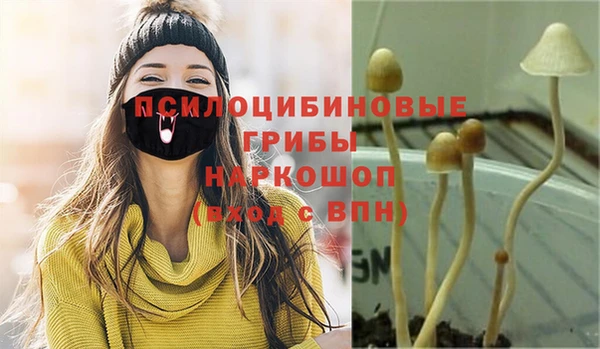 прущий лед Надым